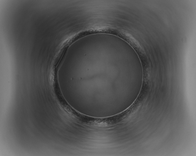 X0000112910640200908311238