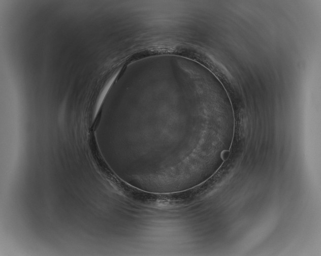 X0000112910641200908311238