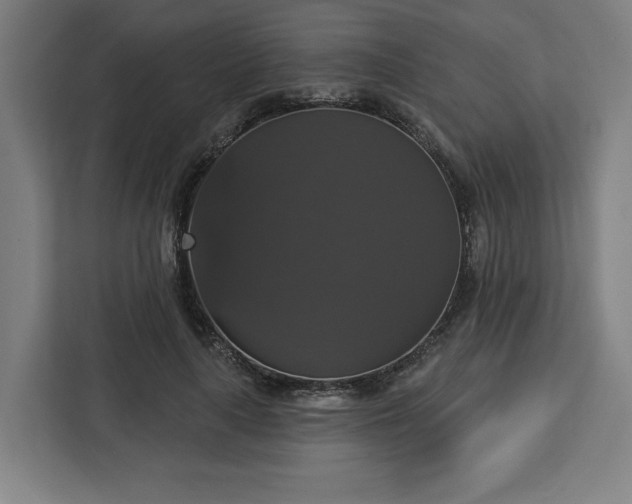 X0000112910643200908311238