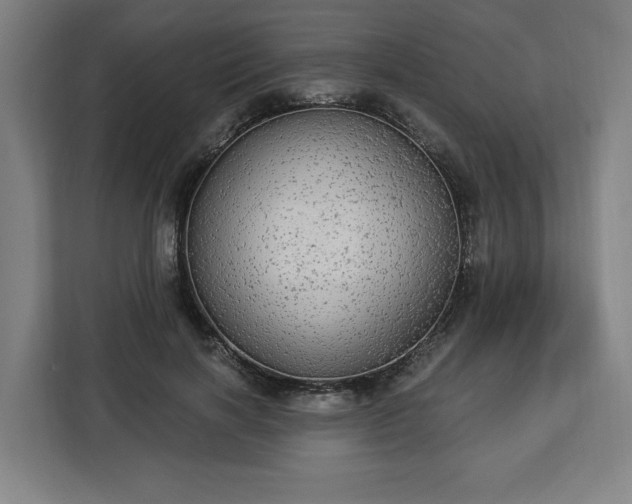 X0000112910646200908311238