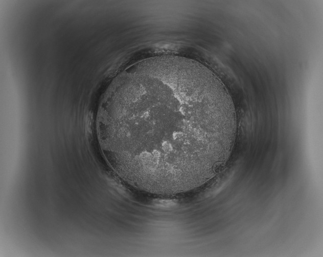 X0000112910649200908311238