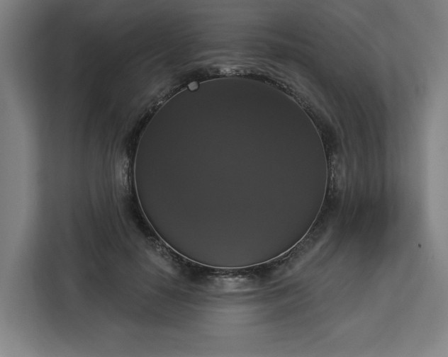 X0000112910650200908311238