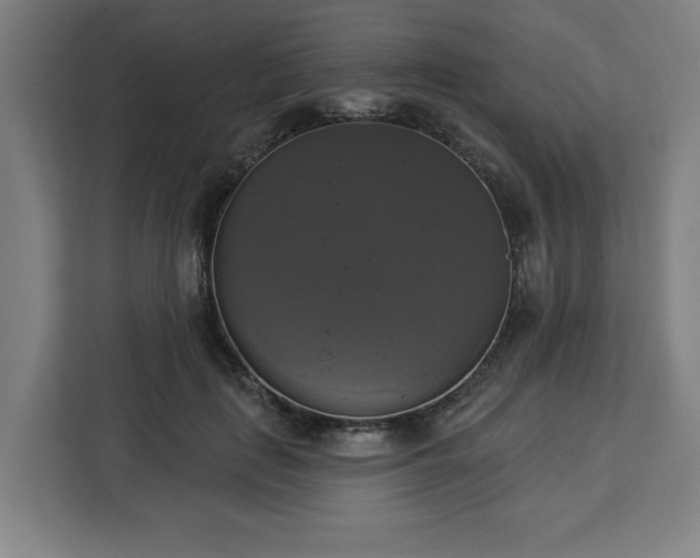 X0000112910651200908311238