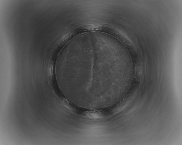 X0000112910652200908311238