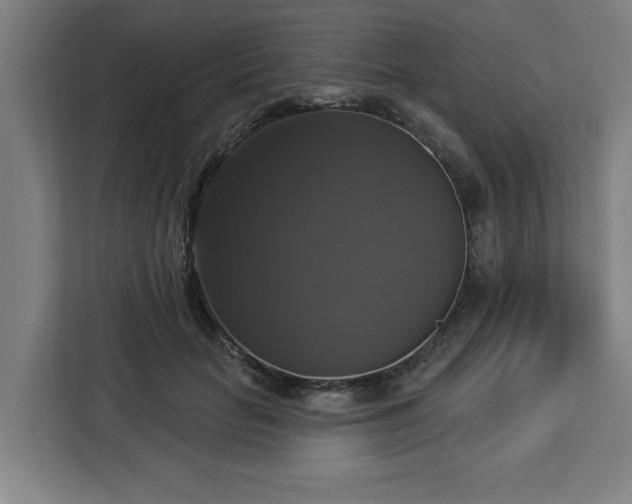 X0000112910653200908311238