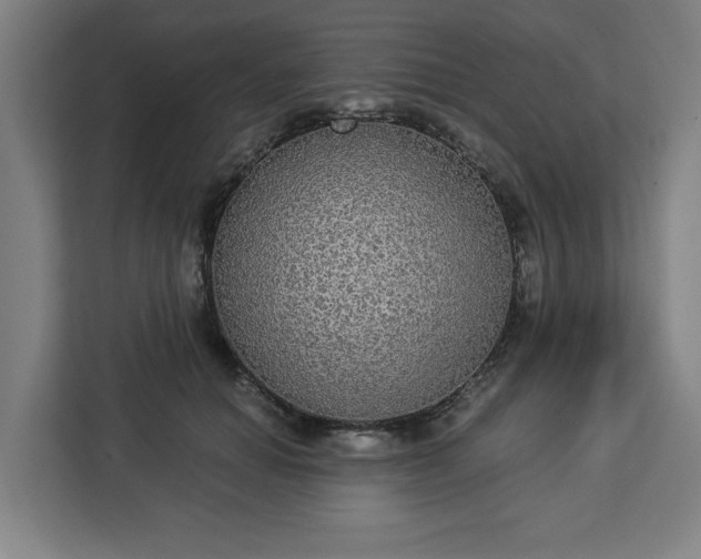 X0000112910654200908311238