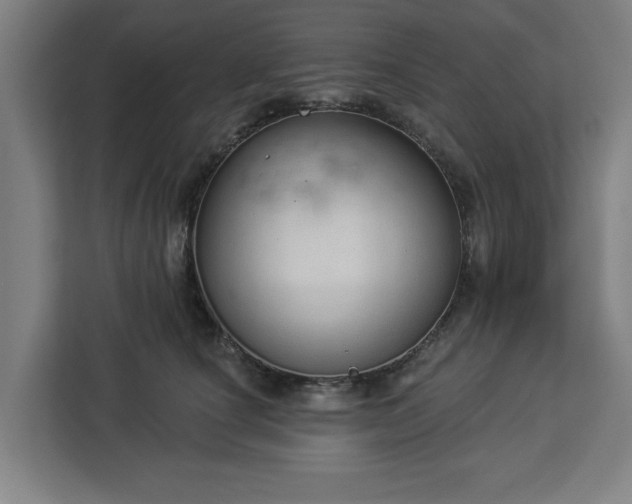 X0000112910660200908311238