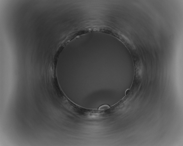 X0000112910661200908311238