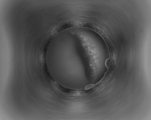 X0000112910663200908311238