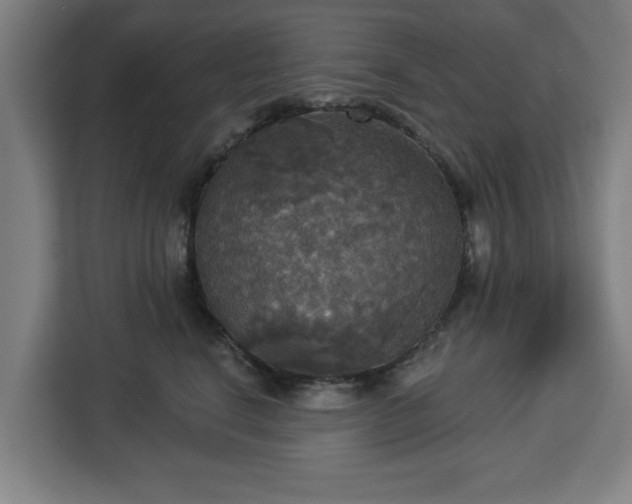 X0000112910664200908311238