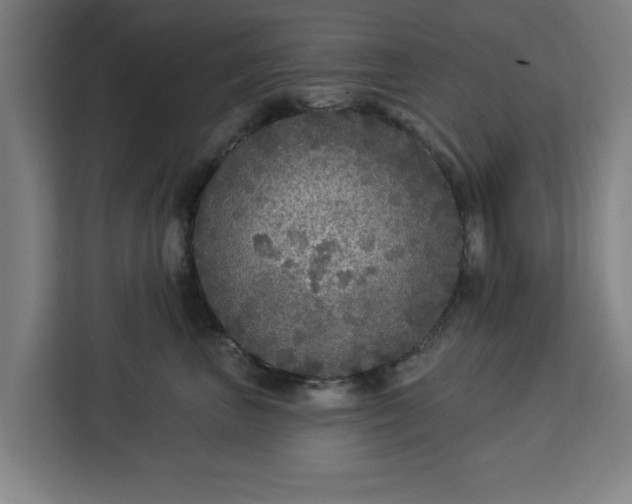 X0000112910667200908311238