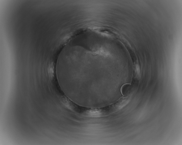 X0000112910668200908311238