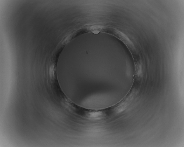 X0000112910669200908311238