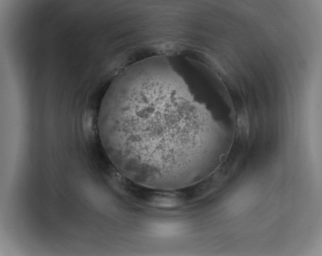 X0000112910671200908311238