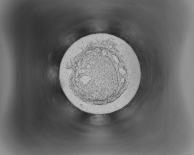 X0000112910672200908311238