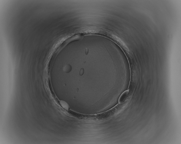 X0000112910673200908311238