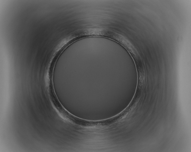 X0000112910674200908311238