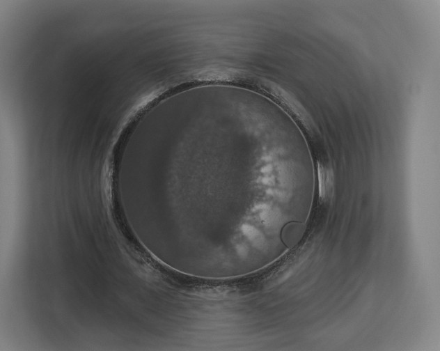 X0000112910675200908311238