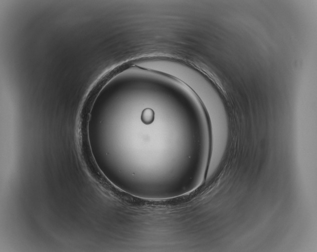 X0000112910676200908311238