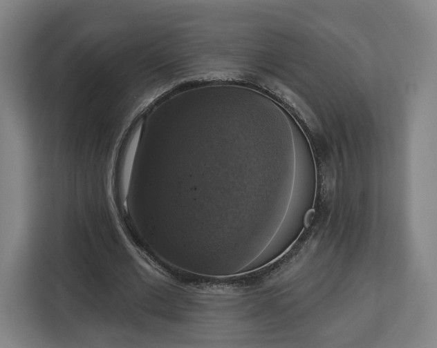 X0000112910677200908311238