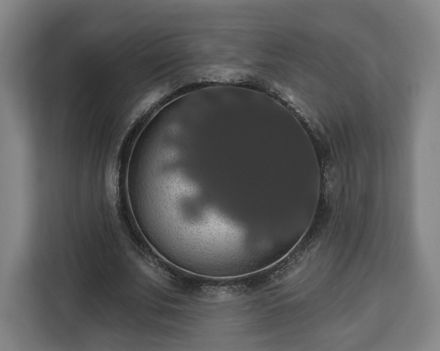 X0000112910679200908311237