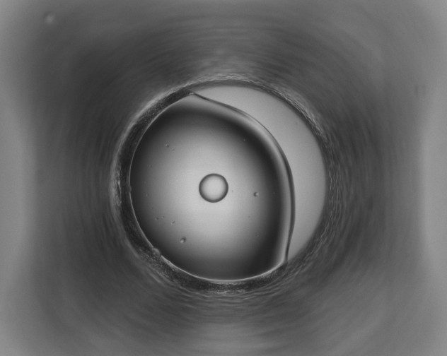 X0000112910680200908311237