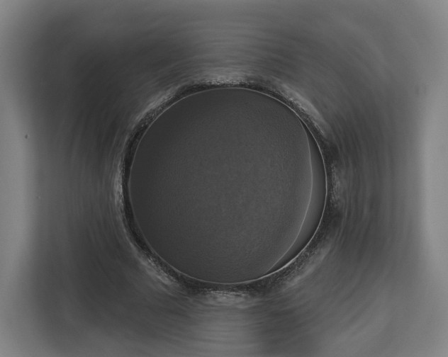 X0000112910681200908311237