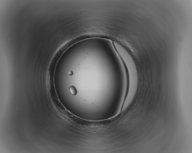 X0000112910684200908311237