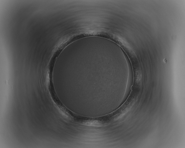 X0000112910685200908311237