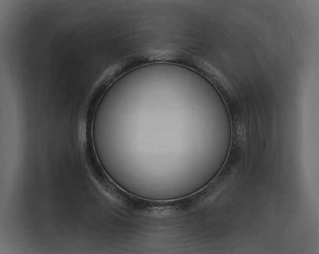 X0000112910686200908311237