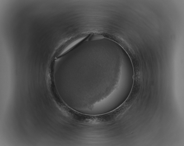 X0000112910688200908311237