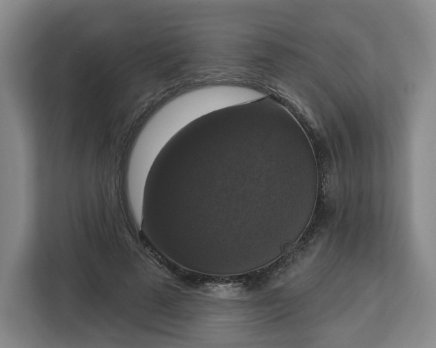 X0000112910689200908311237