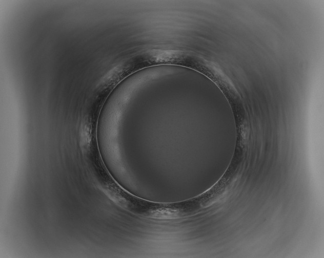 X0000112910691200908311237