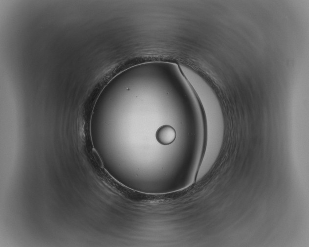 X0000112910692200908311237