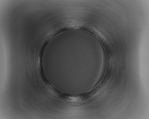 X0000112910693200908311237