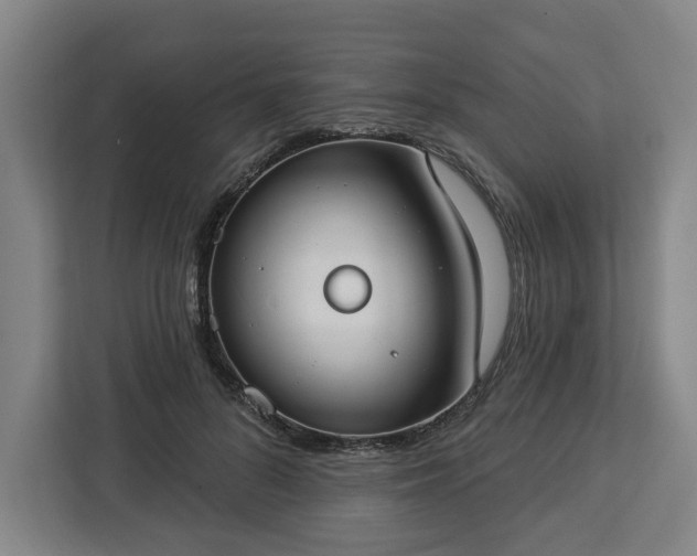 X0000112910696200908311237