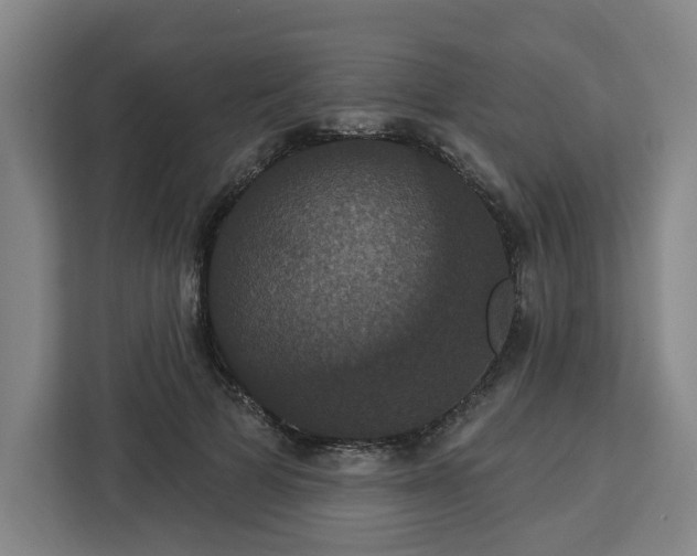 X0000112910697200908311237