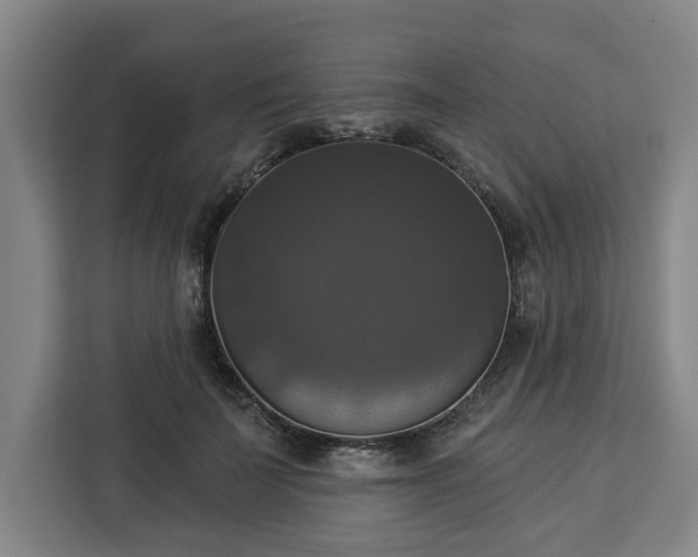 X0000112910699200908311237