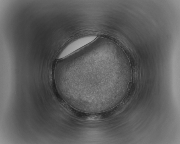 X0000112910700200908311237