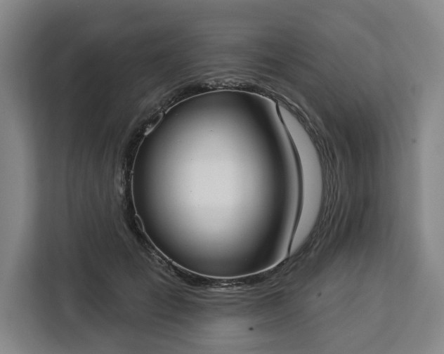 X0000112910701200908311237