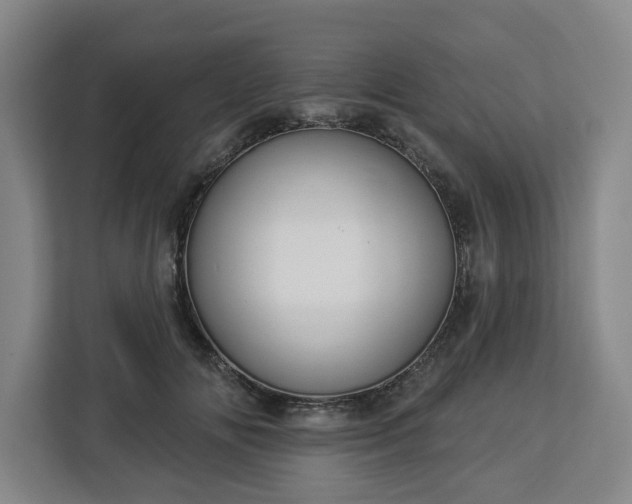 X0000112910702200908311237