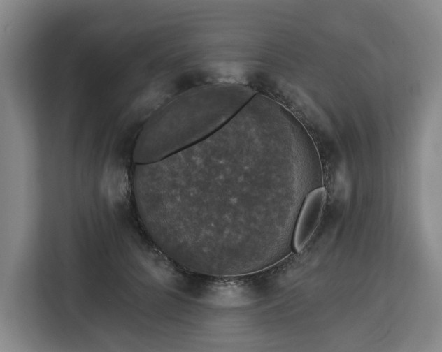 X0000112910704200908311237