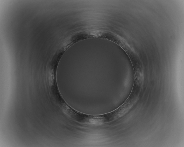 X0000112910707200908311237