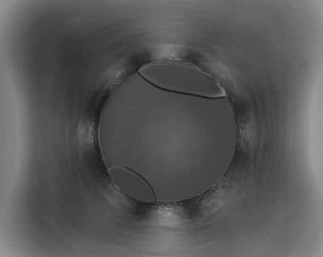 X0000112910708200908311237