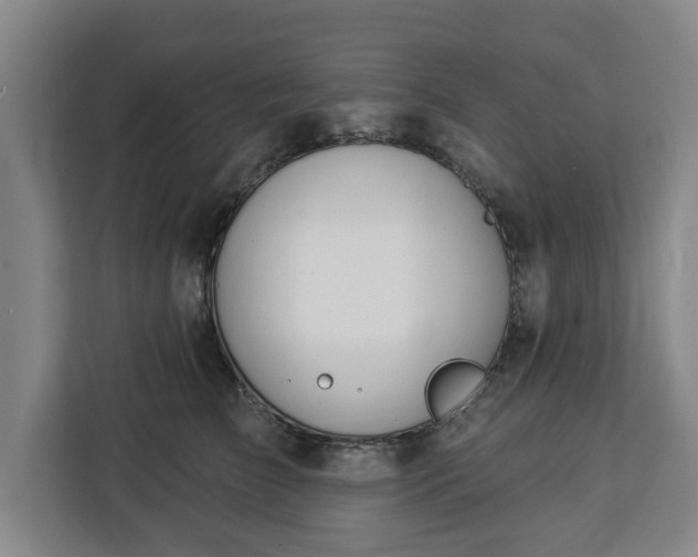 X0000112910709200908311237