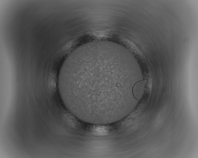 X0000112910710200908311237