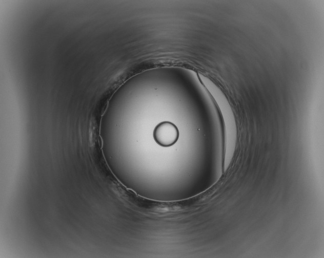 X0000112910712200908311237