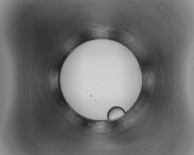 X0000112910717200908311237