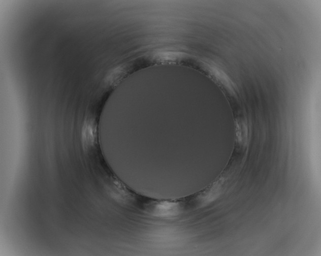 X0000112910718200908311237