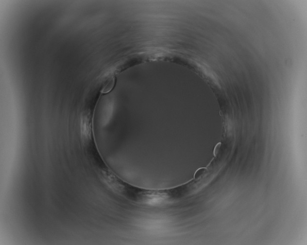 X0000112910719200908311237